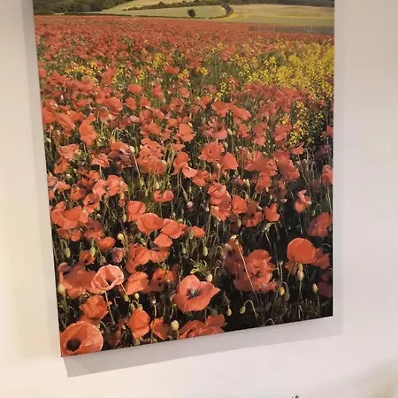 Oliver Wests Beautiful 2 Bedroom Sleeps 4 Lejlighed