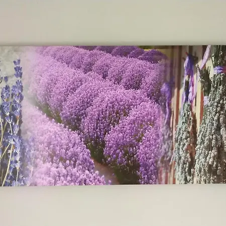 Oliver Wests Beautiful 2 Bedroom Sleeps 4